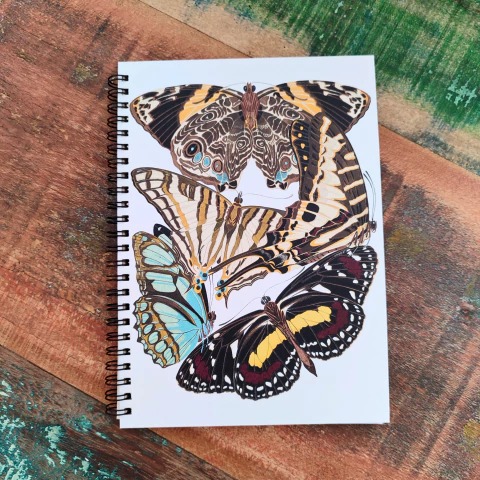 Caderno Borboletas 1