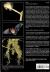 Walker's Bats of the World na internet