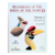 Handbook of the Birds of the World, Volume 6: Mousebirds to Hornbills - comprar online