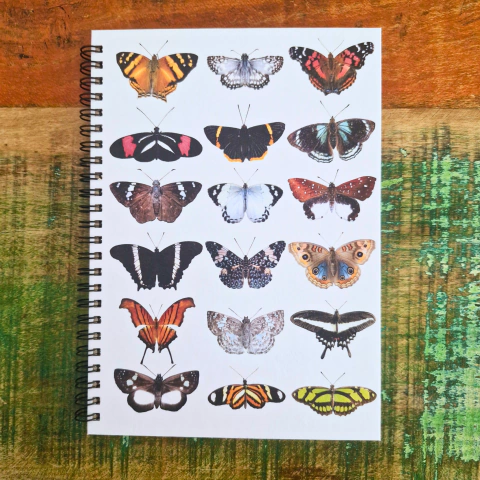 Caderno Borboletas da Mata Atlântica