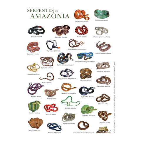 Serpentes da Amazônia - Pôster