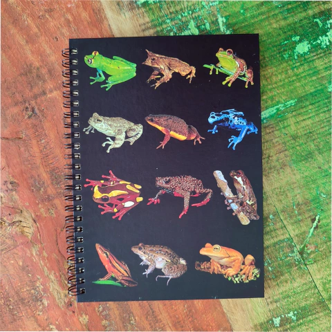 Caderno Anfíbios fundo preto