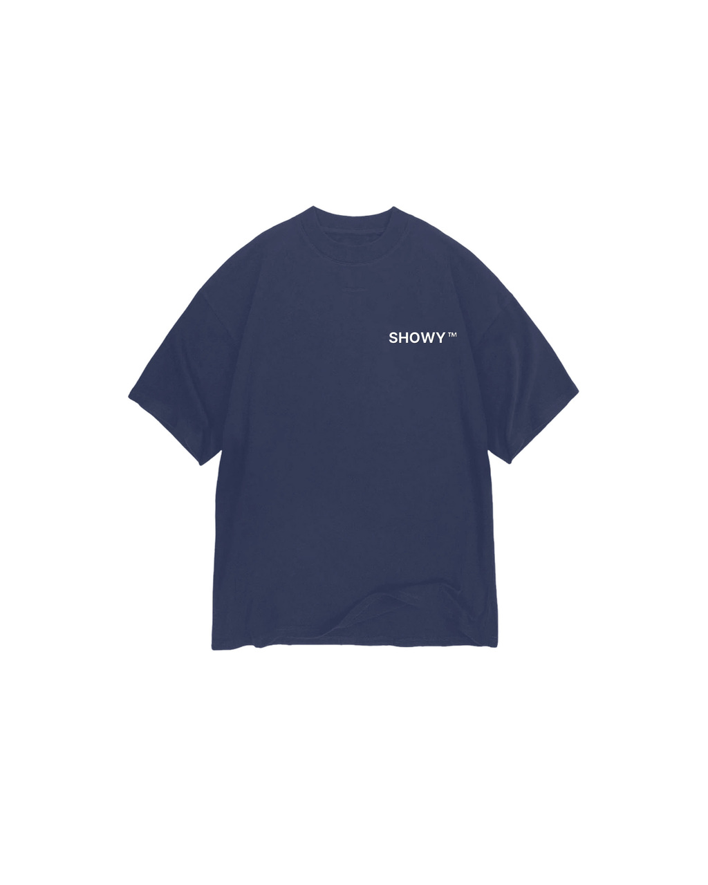 Remera Showy Tm Gris ( Heavyweight ) thumbnail 3