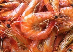 Camarão Seco Salgado - 500g - comprar online