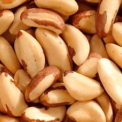 Castanha do Pará Média 100g