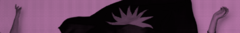 Banner da categoria & Bandeira BH