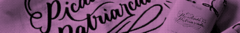 Banner da categoria & Letícia Naves