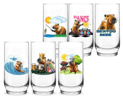 Jogo 6 Copos Vidro Capivara Divertidas Personalizados 300ml