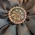 Flor Tribal Monster Gris Plata #78 (12.5 cms) en internet