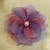 Flor Tribal Monster Iridiscente Lila/Rosa #90 (8 cms) - comprar en línea