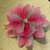 Flor Tribal Monster Iridiscente Fucsia/Menta #92 (12 cms) - comprar en línea