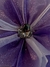 Flor Tribal Monster Iridiscente Morado/Lila #94 (11 cms) en internet