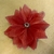 Flor Tribal Monster Iridiscente Mamey #97 (11 cms) - comprar en línea