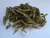Verbena (Verbena officinalis) - 20 gramas de Folhas inteiras