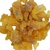 Incenso de Copal Branco - 20 gramas em resina
