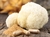 Cogumelo Juba de Leão (Hericium erinaceus) desidratado embalado à vácuo - Inteiros ou em Cápsulas - comprar online