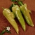Pimenta Doce Comprido - Sementes para cultivo