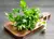 Salsa Lisa (Petroselinum crispum)- 10 sementes para cultivo