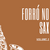 Forró no Sax - volume 02