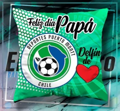 Imagen de Plantillas Cojines - Padre Fútbol Chile Primera B