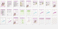 Agenda Pediátrica Kit Imprimible Editable | Minnie 3 - comprar online