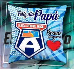 Plantillas Cojines - Padre Fútbol Chile Primera B en internet