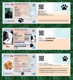 Pack Diseños Sublimación Carnet Registro Mascotas - PlantillasyVectores