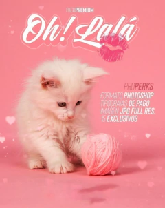 Imagen de Plantillas Sublimacion Tazas Premium Día Del Amor | Psd