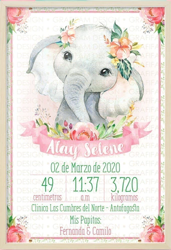 Kit Imprimible Cuadros Bebé Nacimiento Niña | Editable Ppt