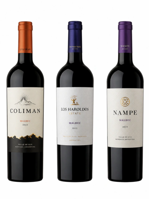 Kit Malbec Argentino - comprar online