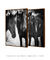 Imagem do Conjunto 2 Quadros Cavalos
