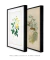 Conjunto 2 Quadros Ilustração Botânica e de Pássaros do Século XIX - Essence Art & Decor