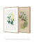 Conjunto 2 Quadros Ilustração Botânica e de Pássaros do Século XIX
