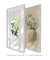 Conjunto 2 Quadros Ilustração Botânica e de Pássaros do Século XIX - comprar online