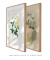 Conjunto 2 Quadros Ilustração Botânica e de Pássaros do Século XIX - Essence Art & Decor