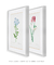 Conjunto 2 Quadros Ilustrações Botânicas de Pierre-Joseph Redouté 1 - Essence Art & Decor