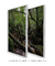 Kit 2 Quadros Mata Atlântica 2 - comprar online