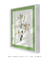 Quadro Decorativo Açucena (Madonna Lily) Ilustração de Pierre-Joseph Redouté - loja online
