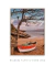Quadro Decorativo Barco Ancorado na Praia 1 na internet