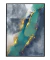 Quadro Decorativo - Coleção "Turmalina" Turquoise I