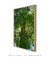 Quadro Decorativo Copa Arvore Ao Sol - Essence Art & Decor