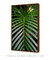 Quadro Decorativo Detalhe Folha