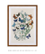 Quadro Decorativo European Butterflies and Moths de William Forsell Kirby c/ Paspatur - comprar online