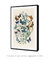 Quadro Decorativo European Butterflies and Moths de William Forsell Kirby c/ Paspatur - loja online