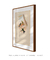 Imagem do Quadro Decorativo Ilustração de Aves Thalurania Verticeps de John Gould