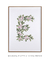 Quadro Decorativo Letra Botânica E - loja online
