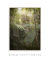 Quadro Decorativo Mata Atlântica 2 - Essence Art & Decor