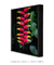 Quadro Decorativo Planta V D - Helicônia, Bananeira do Brejo - loja online