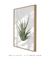 Quadro Decorativo Zebra Haworthia - Essence Art & Decor