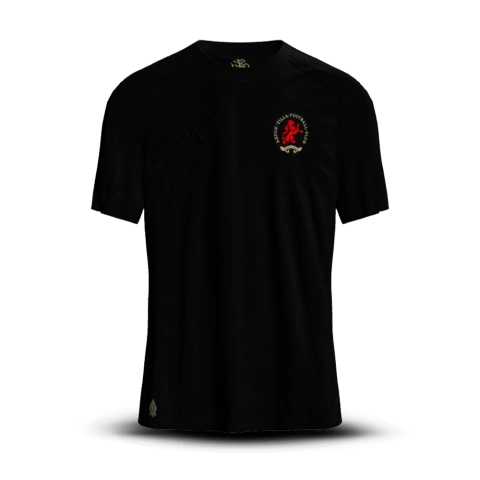 Camisa Aston Villa 150 Anos - Especial 2024/25 [Versão Torcedor] - comprar online